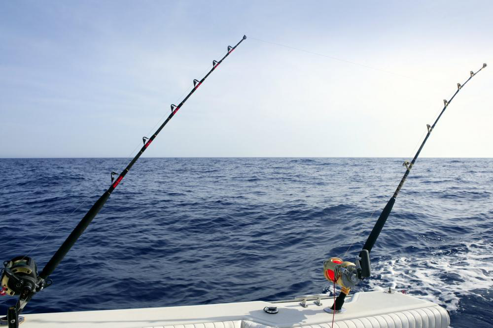 Choosing the Perfect Bait for Your Fishing Trip to Cabo San Lucas: What You Need to Know