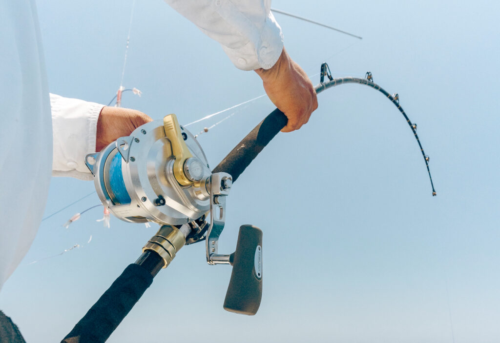 Fishing Lines Fishing Lines