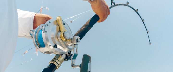 Types Of Fishing Lines Explained Types Of Fishing Lines Explained