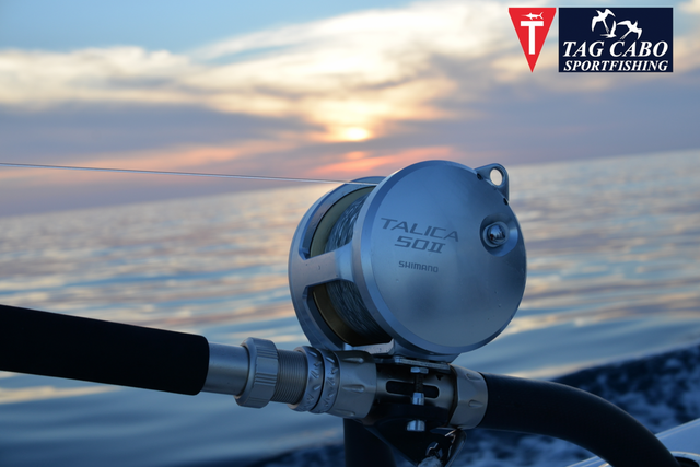 tagcabo spinning reel