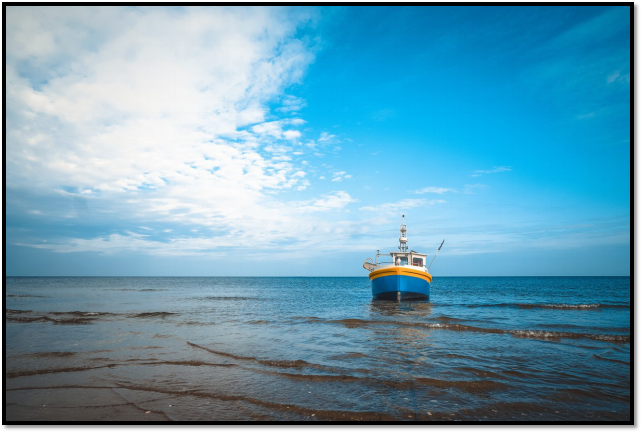 Why We Should Protect Our Oceans