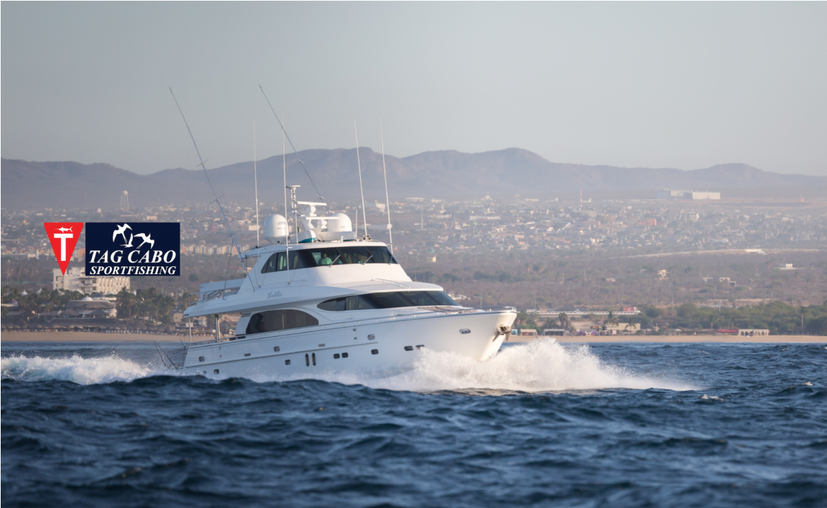 Why You Need A Yacht For Your Luxurious Fishing Trip