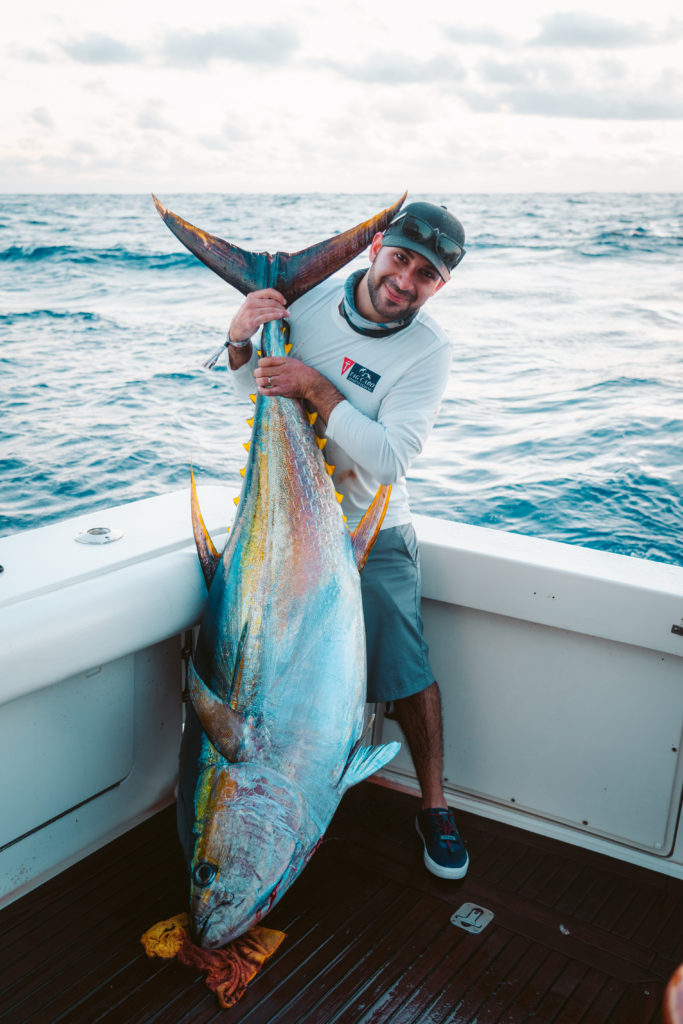 Yellowfin tunas in Cabo San Lucas