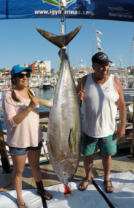 Kite Fishing for Tunas