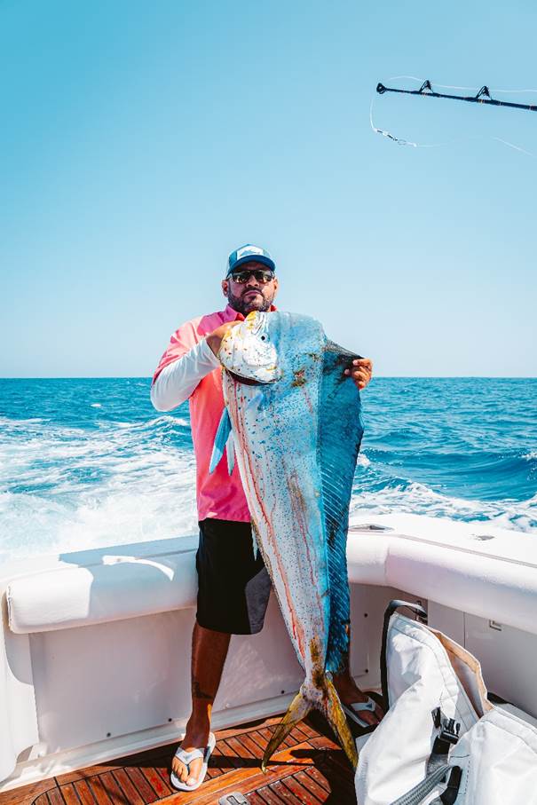 Dorado Fishing Tips In Cabo - Tag Cabo Sportfishing