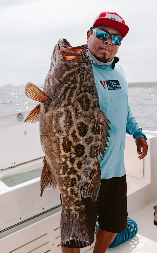 Deep Dropping for Grouper in Costa Rica