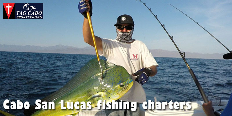 What is A Fishing Charter & How to Choose the Best One?