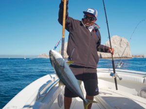 yellowtail jigging in Cabo San lucas