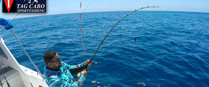Picante fishing reports Archives - Page 12 of 21 - Tag Cabo