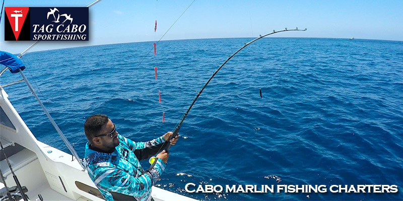 Picante fishing reports Archives - Page 12 of 21 - Tag Cabo Sportfishing