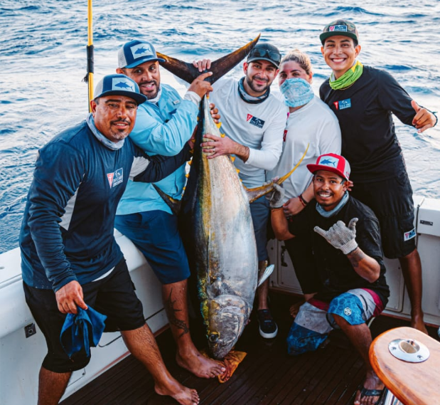Yellowfin tunas in Cabo San Lucas