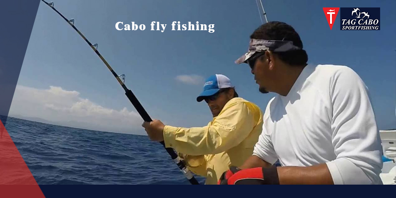 Spin Fishing vs. Fly Fishing: Decoding the Differences!