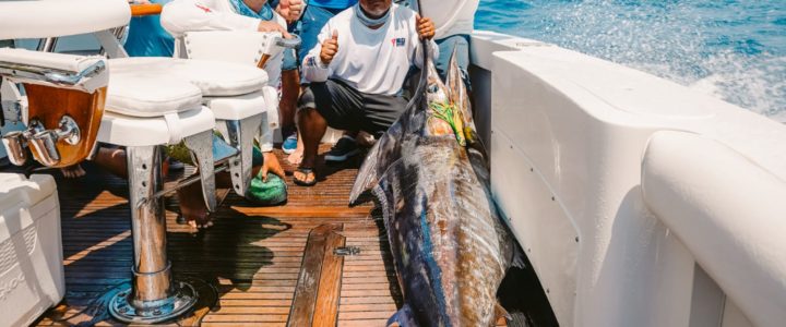 Deep-sea Fishing in Cabo – Blue Marlin
