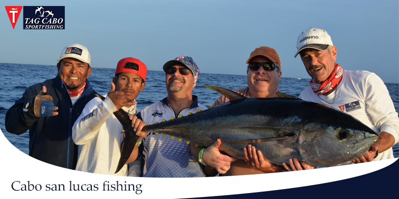 Everything You Need To Know About Marlin Fishing In Cabo