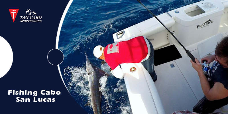 Explore the different types of sports fishing in Cabo San Lucas