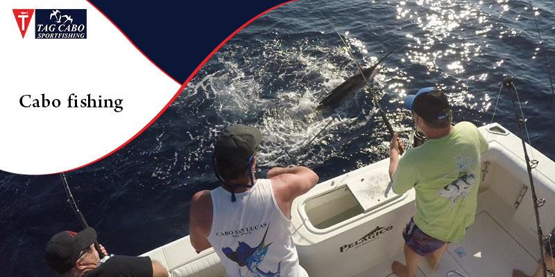 What are the popular fishing choices in Cabo, San Lucas?
