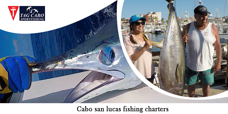 How Much Do Fishing Charters Make? 