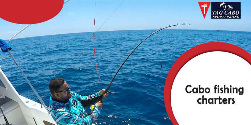 Occasions That are Perfect for Hiring A Luxury Fishing Charter in Cabo