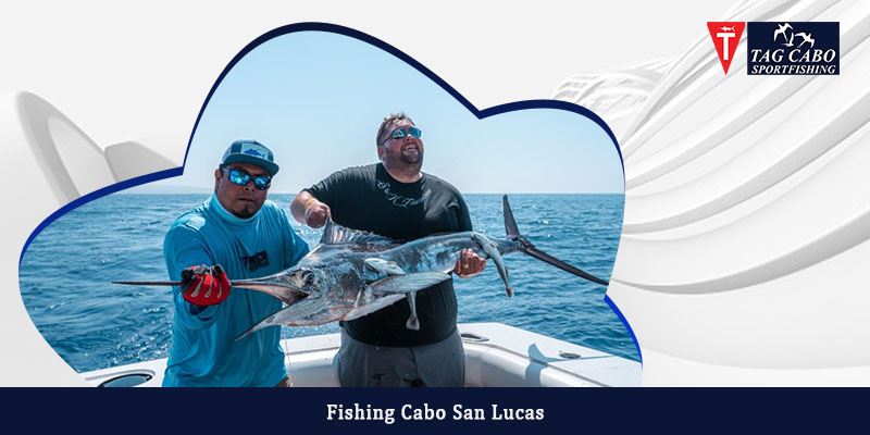 Surf fishing in Cabo San Lucas - Tag Cabo Sportfishing