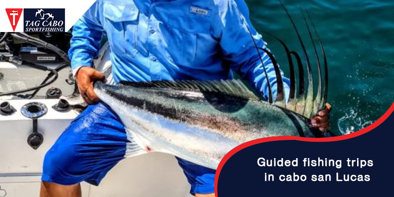 Why Guided Fishing Trips in Cabo San Lucas are the Best