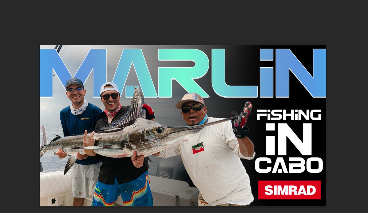 Marlin fishing in Cabo San Lucas