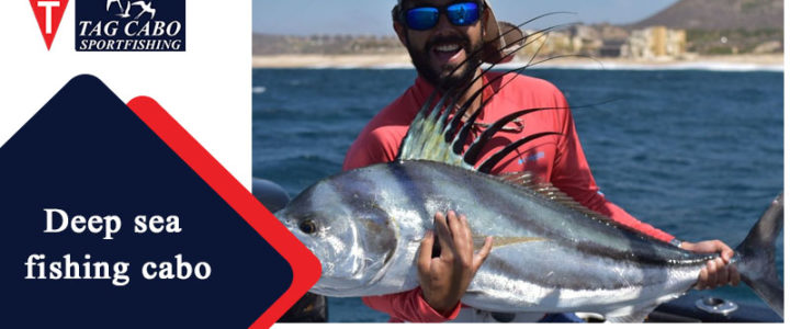 What Makes Cabo the Best Place for Deep Sea Fishing