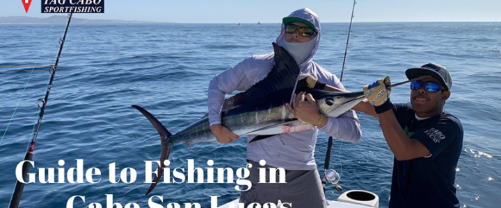 Cabo fishing reports Archives - Page 10 of 25 - Tag Cabo Sportfishing