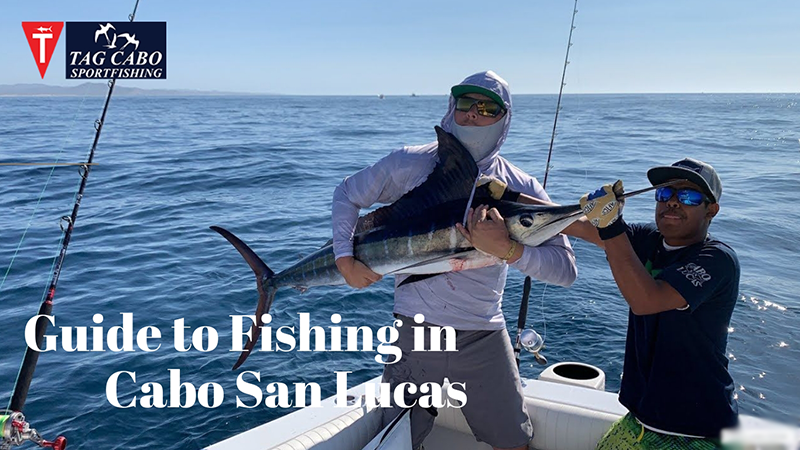 A Simple Guide to Fishing in Cabo San Lucas – Tag Cabo Sportfishing