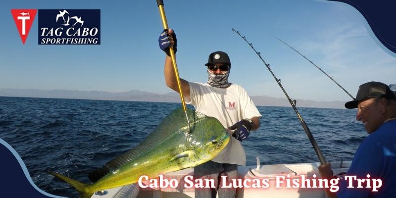https://www.tagcabosportfishing.com/wp-content/uploads/2022/04/Tagcabo.jpg