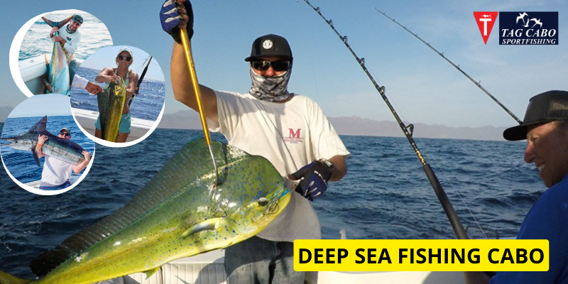 Deep-sea Fishing in Cabo – Blue Marlin