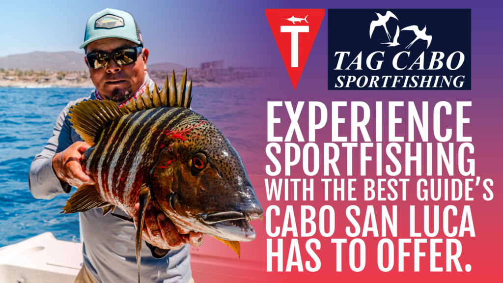 How Does Guided Fishing Trips in Cabo San Lucas Work?