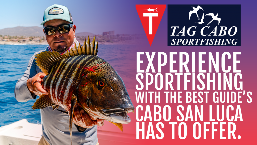 https://www.tagcabosportfishing.com/wp-content/uploads/2022/05/TAGCABO2-1024x576.png