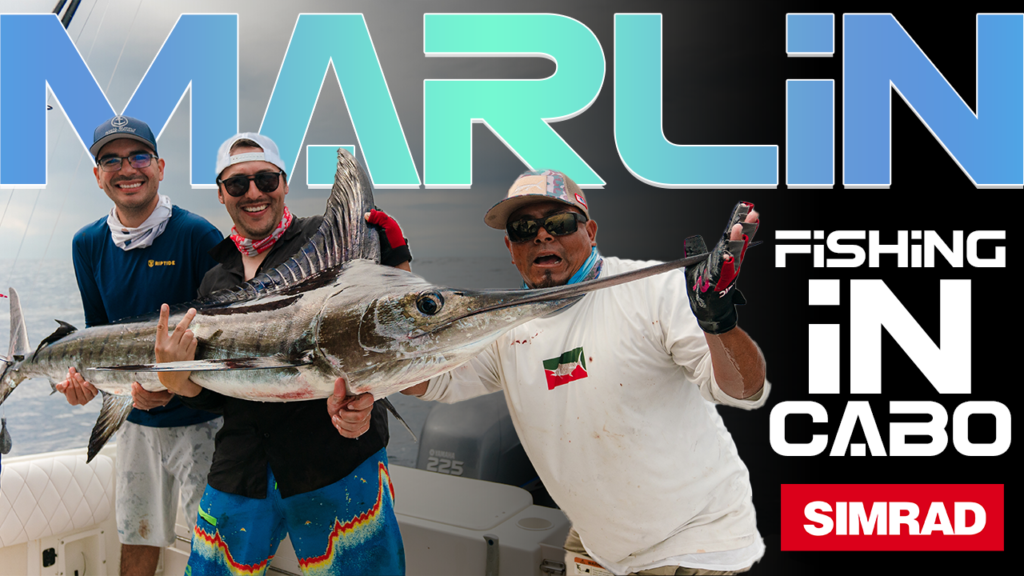 Best Water Temperatures To Catch Marlins in Cabo San Lucas And What They Eat