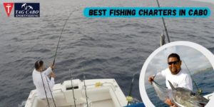 Cabo Fishing Charters- Explore, Enjoy and Catch