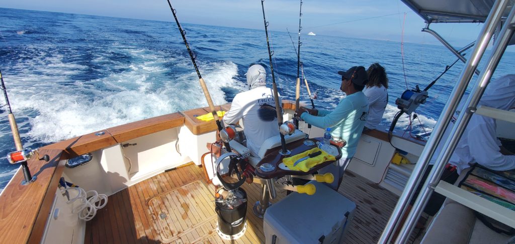 A Simple Guide to November Fishing in Cabo San Lucas