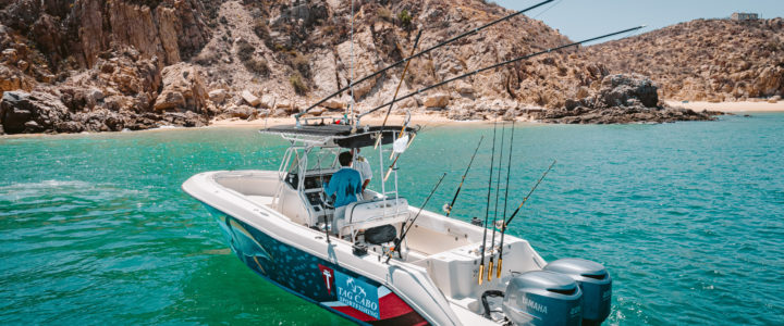 A Simple Guide to November Fishing in Cabo San Lucas