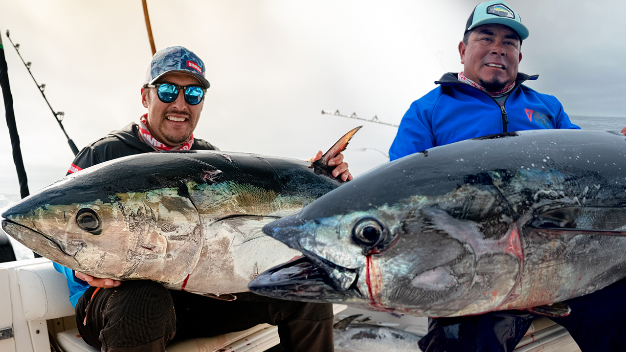 Guided Fishing Trips in Cabo San Lucas with Tag Cabo Sportfishing