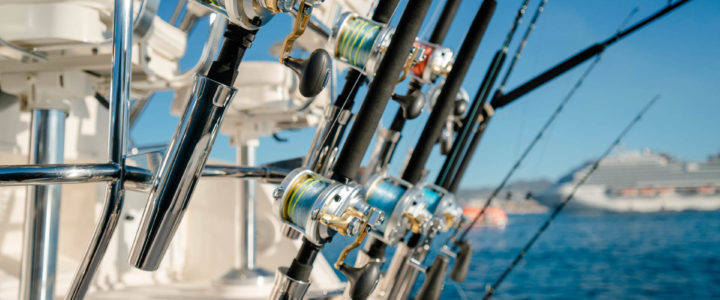 Fishing Charters are perfect for Deep Sea Fishing in Cabo