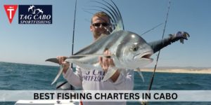 An Insider's Guide to Choosing the Right Cabo San Lucas Fishing Charter
