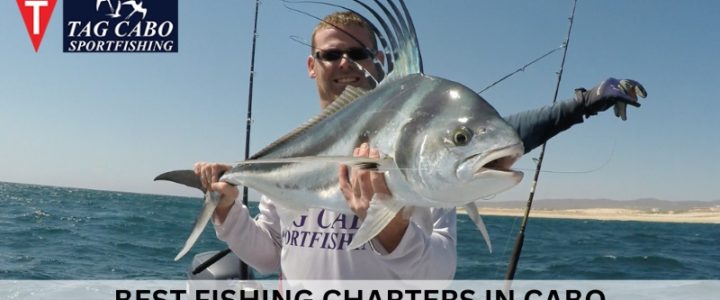 An Insider’s Guide To Choosing The Right Cabo San Lucas Fishing Charter