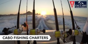 Book A Cabo Fishing Charters For A Romantic Valentine’s Day With Your Partner