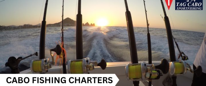 Book a Cabo Fishing Charters for a Romantic Valentine’s Day with Your Partner