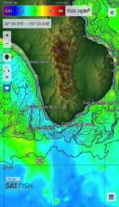 Mastering Water Temperatures on the SatFish App for Yellowfin Tuna Success in Cabo San Lucas