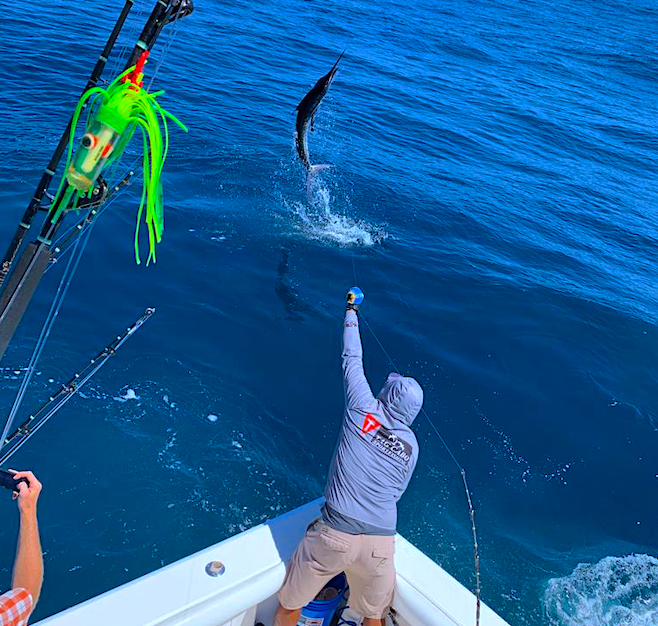 Tuna Fishing Techniques And Methods: Master The Art