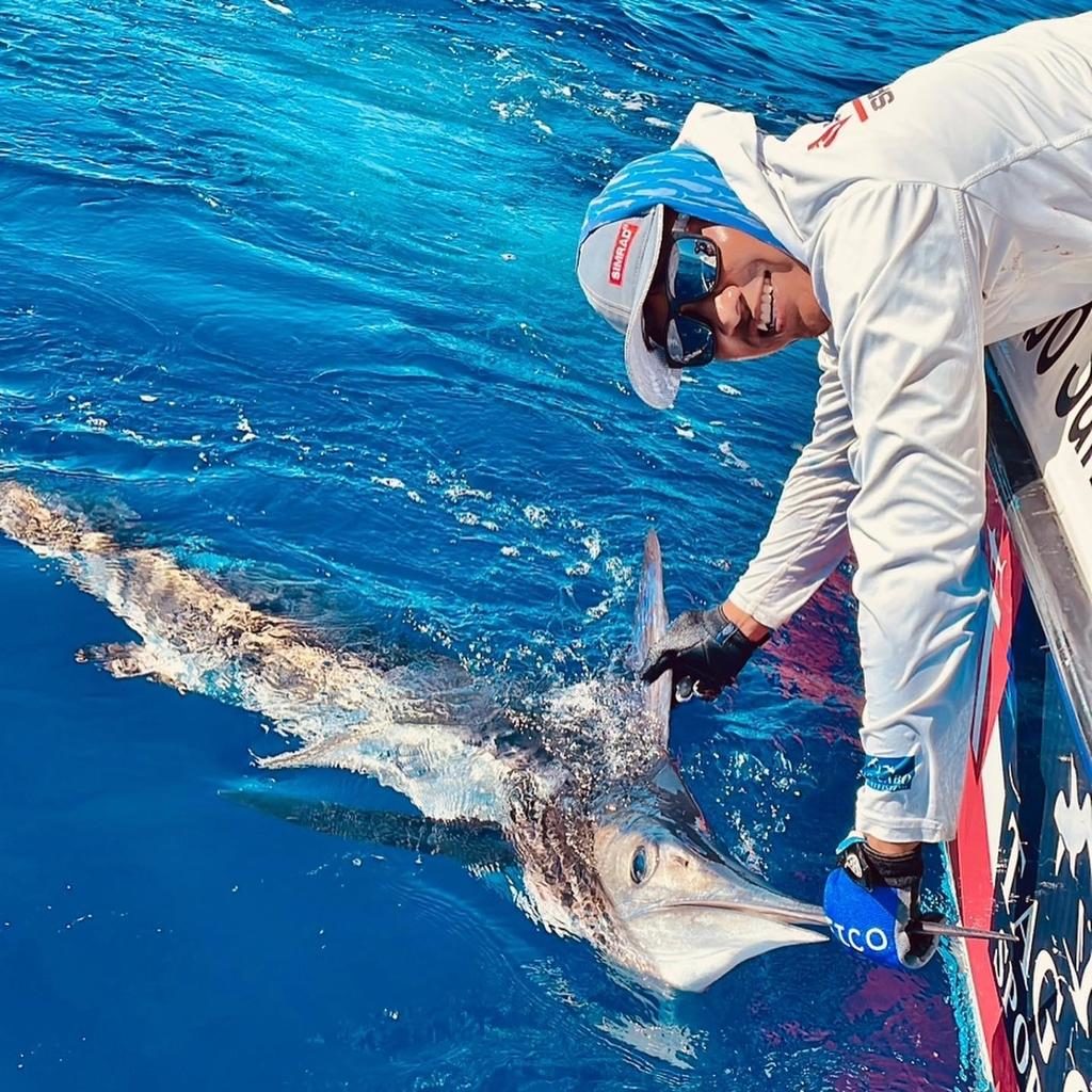 Master the Art of Striped Marlin Fishing: Lures, Teasers, and Dead Bait Techniques