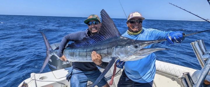 catching bait Archives - Hawaii Nearshore Fishing