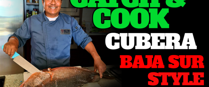 Cubera Snappers: Some of the Best Eating Fish Out There!