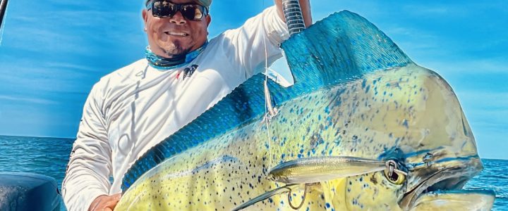 Mastering Inshore Fishing with Stick Bait Lures in Los Cabos