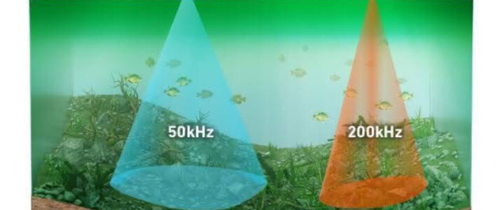 Understanding Fish Identification Through Modern Sonar Technology Understanding Fish Identification Through Modern Sonar Technology