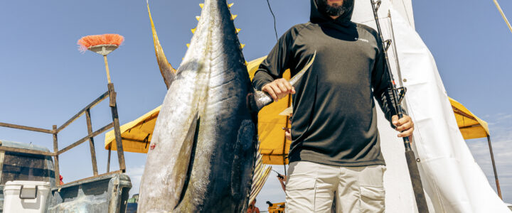 Cabo Tuna Fishing Trips Cabo Tuna Fishing Trips
